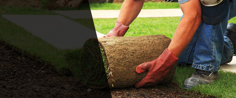 Morgantown Landscapers